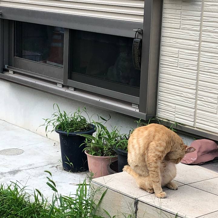 Bd9e4787 23a7 4445 8c95 340cfeba7cda 1564849942012