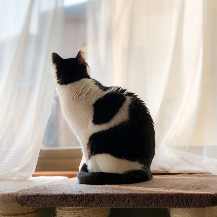 Bd9e4b81 9aec 49fc bcc0 fa50a25e14e2 1590109936723