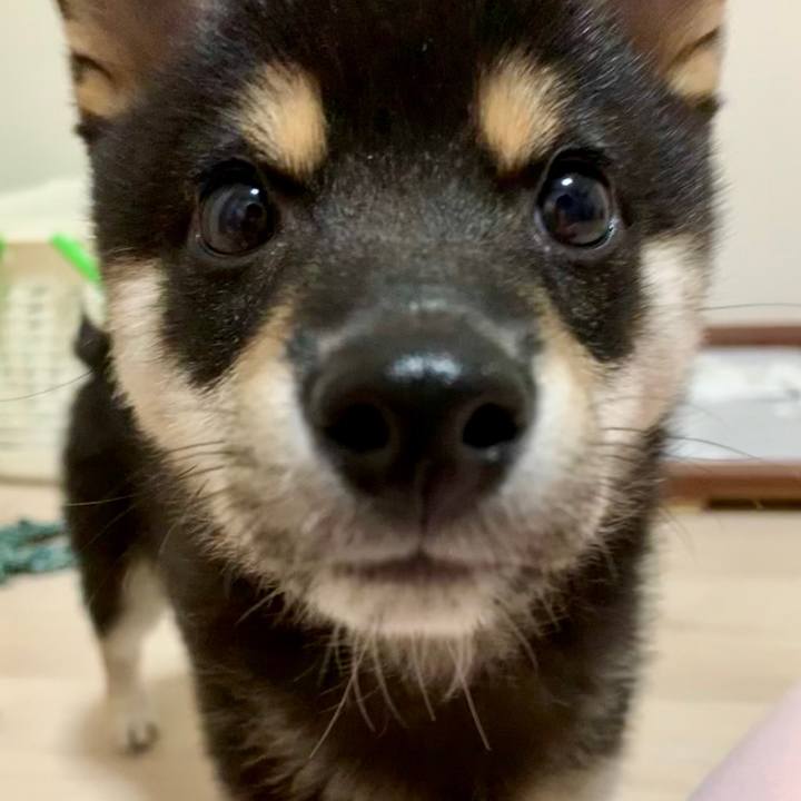 Bd9e50db 6d5d 47b1 add3 54c4fea5da69 1554717336653