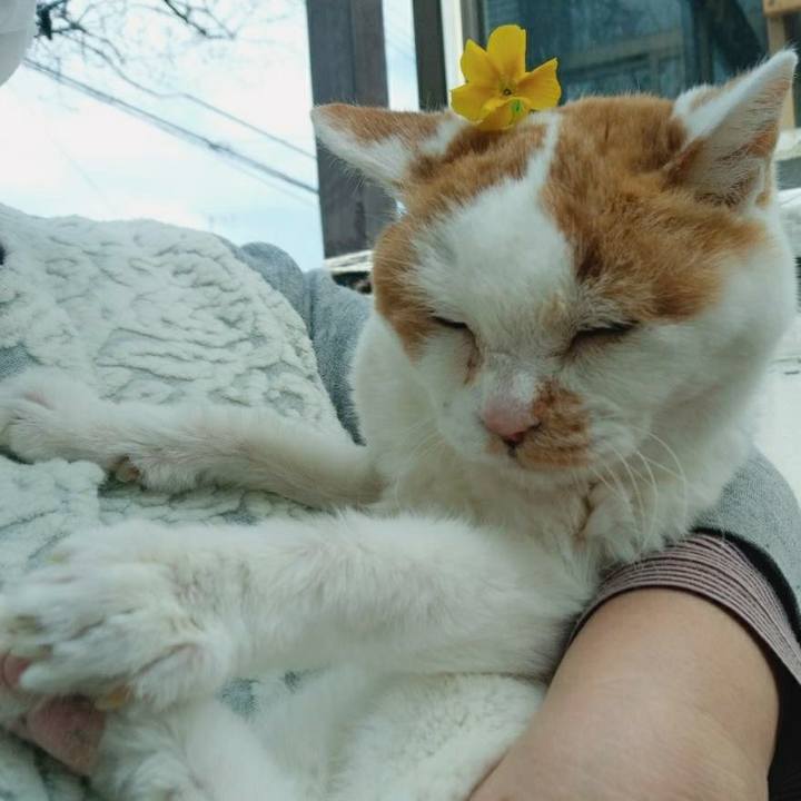 Bd9e6e8e 16db 457c 8b63 b63c7ef9cd60 1587960619517