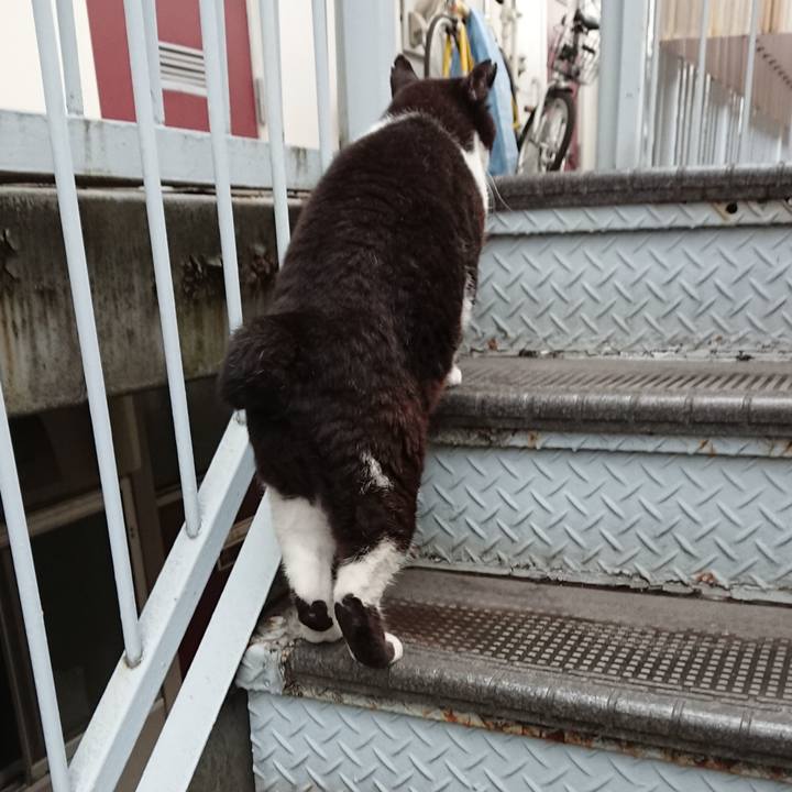 Bd9ea24c 5c0a 4dd1 acd6 cb3665229b15 1657616003568