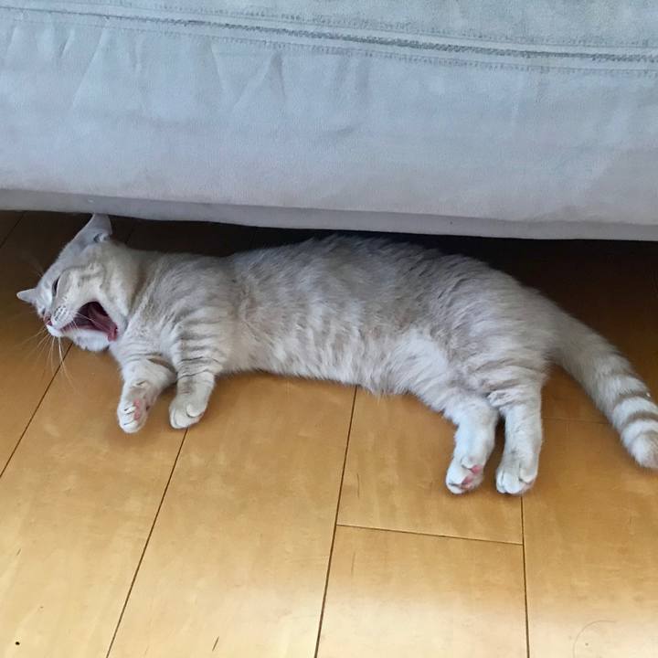 Bd9eb9d1 93dd 4c30 bdd2 1a507d814718 1529917235441