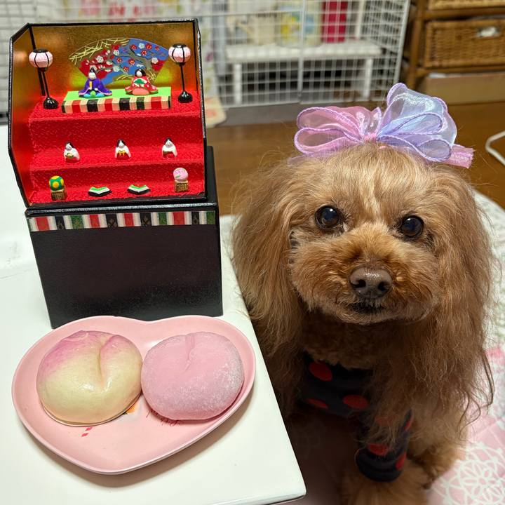 Bd9ee2f1 8de3 4ce7 9247 2cfca81461b3 1772537475401