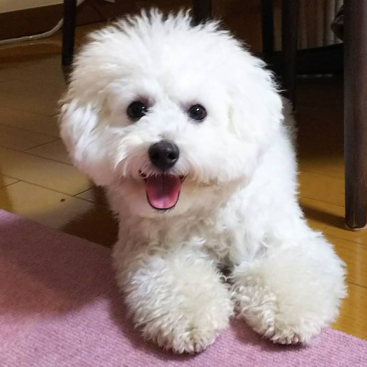 Bd9ee456 a091 477d 937b 6a4cee2e8f29 1512223332272