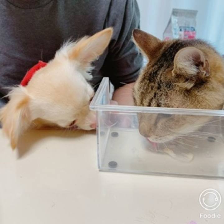 Bd9f0cb5 737a 44cc bfe2 fa060445d329 1686208664031