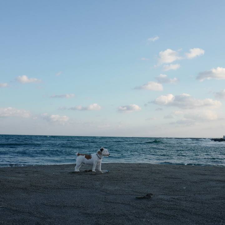 Bd9f238a ba5c 473b 96a7 d6dc4b595262 1543207143899