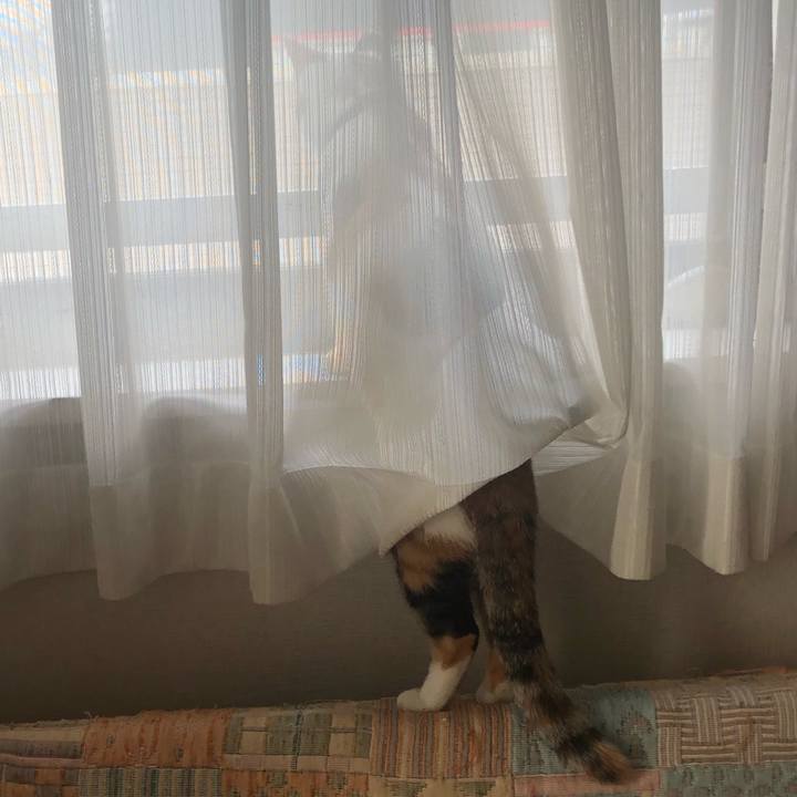 Bd9f548b e2ff 40a2 88eb 1d4dc8f71005 1575095384781