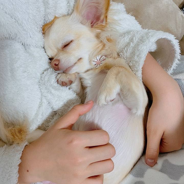 Bd9f555e 7284 4538 8f58 18c2a304ed21 1614044715186