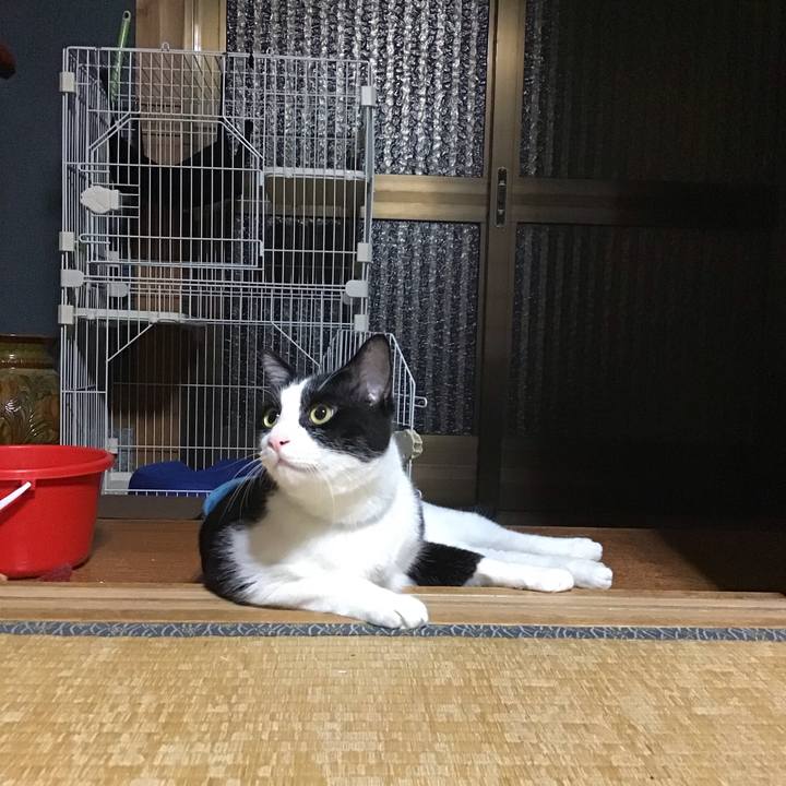 Bd9f5689 560b 4f24 9bec 2bff8a0c1042 1694431814797