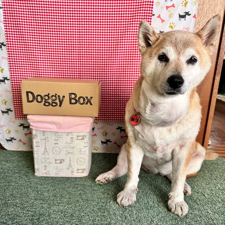 Bd9f580c 729d 4b64 96bf 060236020c62 1752382953606