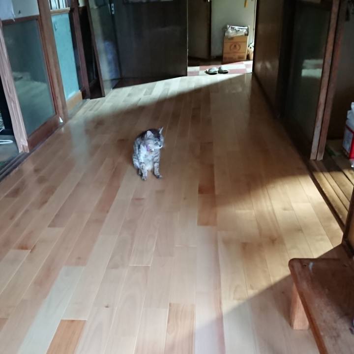 Bd9f62a0 0c7c 47f8 ab13 fac7caaa1ccf 1596534437812