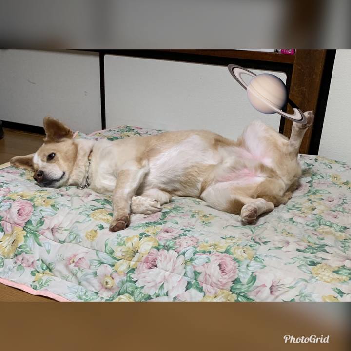 Bd9f77fa 228a 454e 840f bd022b03fa6f 1563200866899