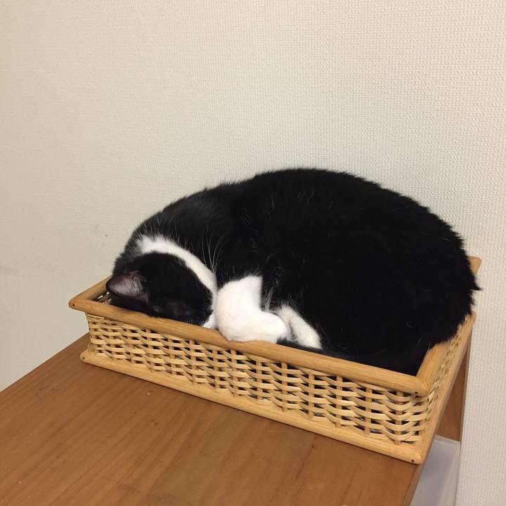 Bd9f9159 5009 45e0 9394 cd66172a3677 1511698284796