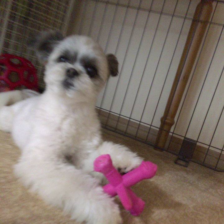 Bd9fbd82 535f 4aee a2ee 201c2aaefdd8 1521179796345