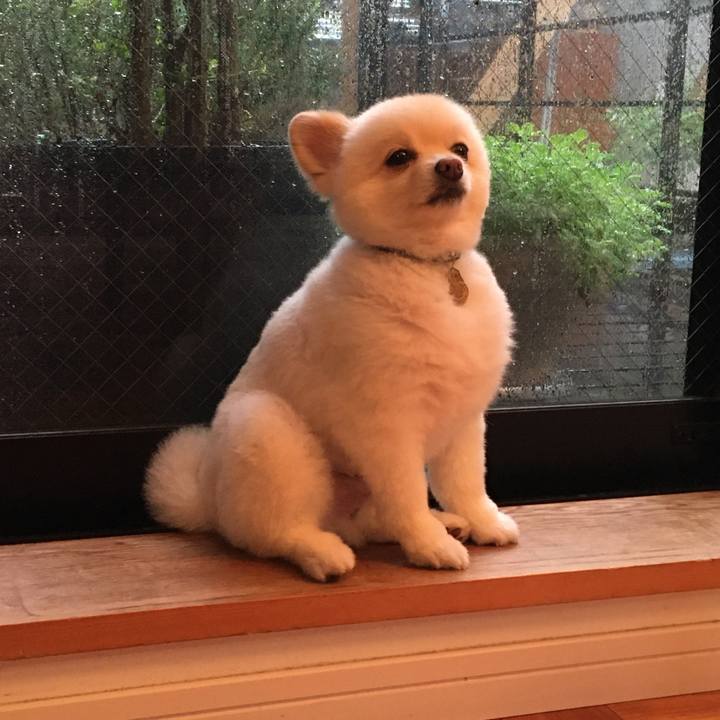 Bd9fddd9 e490 4880 8f48 392a31299752 1594161594466