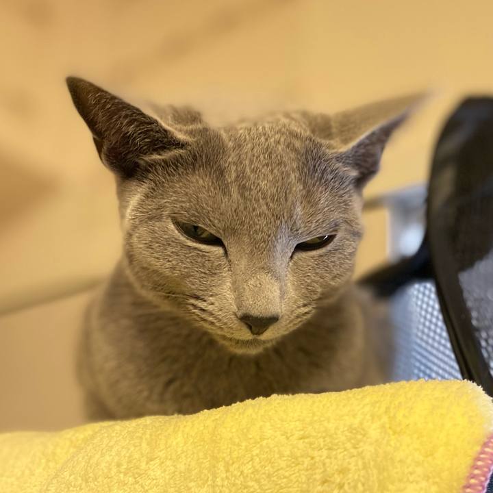 Bda03f99 42c3 497a 807a 45f409092947 1642137487994