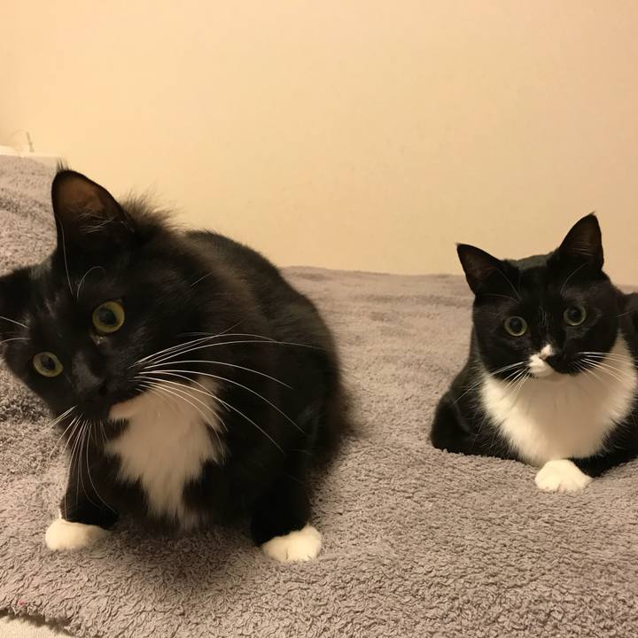 Bda09ebf 83c8 4a21 aa8c 46d53e88e185 1520465650990