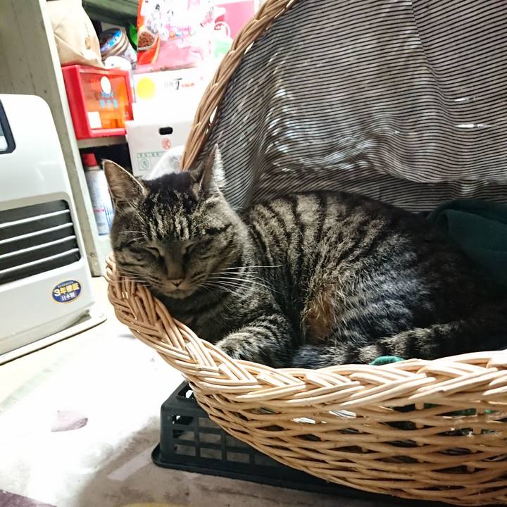 Bda102f9 7f3b 4d64 917e 0186fec67b0b 1640379824289