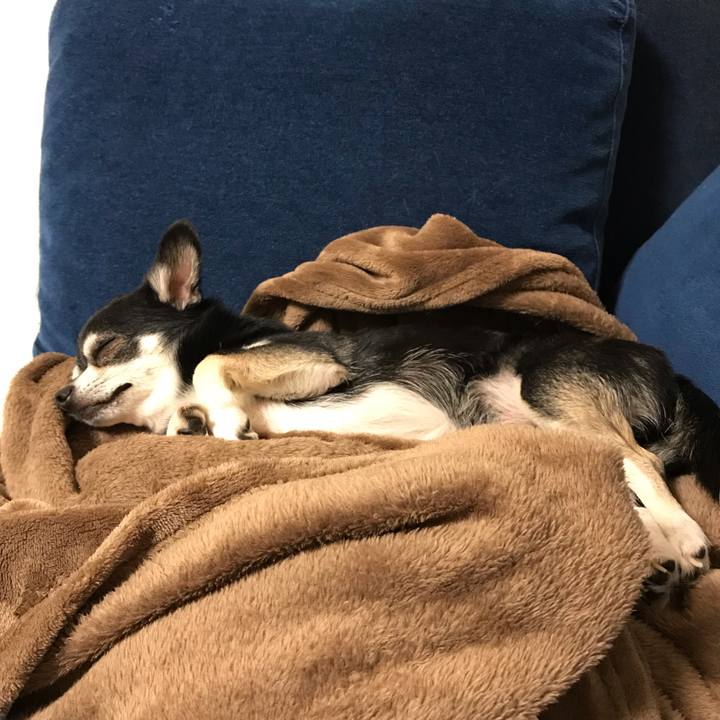 Bda10af1 db6c 43af bcf8 c905d8039841 1562331135113