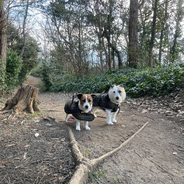 Bda17f86 b39a 43c3 b28b 974c6612e6f4 1738712540237