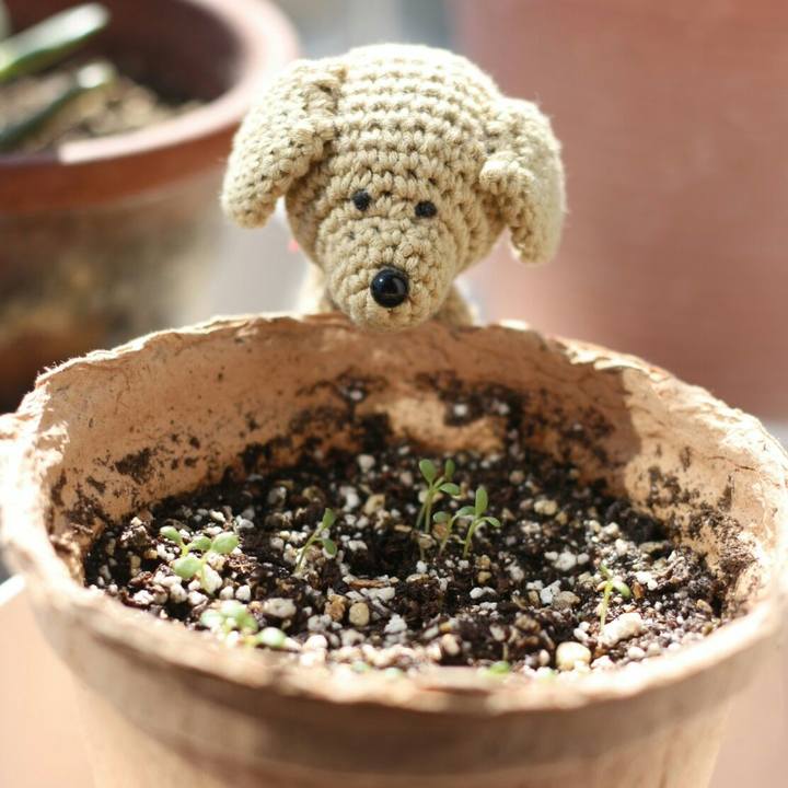 Bda1a798 e092 4010 9912 86c31e0d408f 1616544710012