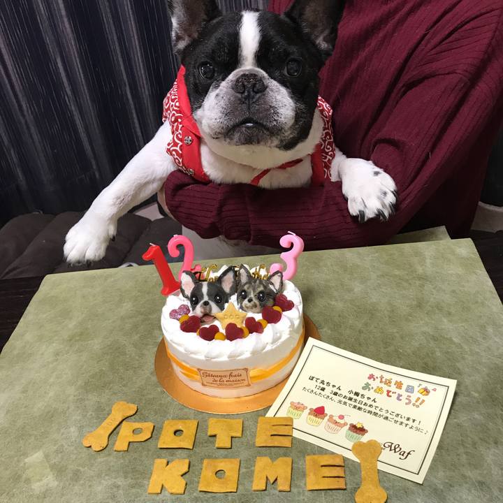 Bda1c5ce 28e3 4395 ab06 21b404b6c81c 1509153960750