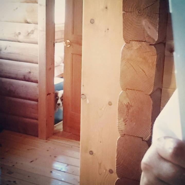 Bda1c5e1 a042 4325 aa3b dadb1730db42 1533688513449