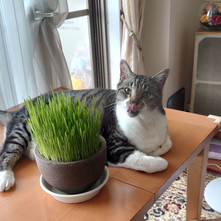 Bda1e40b c9d6 4903 8883 d6a4d2cbda74 1698195085014