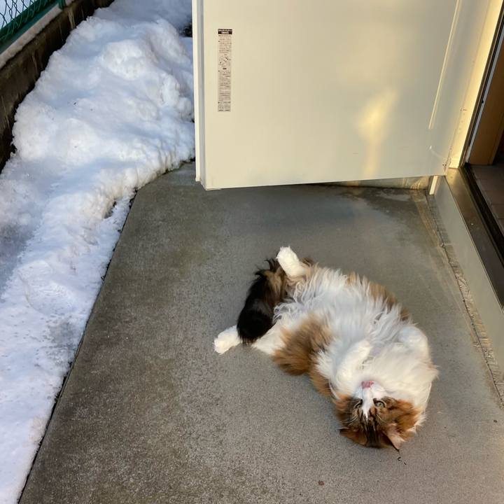 Bda1eddb 1af7 4172 8ef1 2535f19118b4 1739605004039