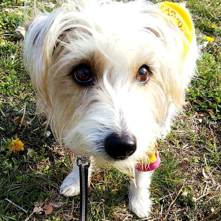 Bda217b8 b973 4511 a928 a7ad179296e3 1602196698915