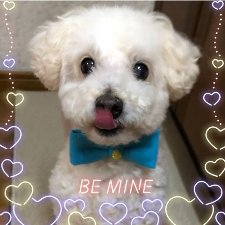 Bda22932 6422 4ae2 b13f b6b9a1247e50 1522154478284