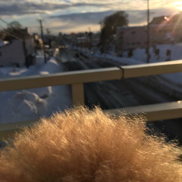 Bda2333a 3ca8 4c95 8924 0bd0787e9ae6 1515756586429