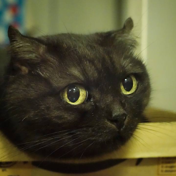 Bda26ad5 0c28 4106 88cd cca1698b2441 1568566211523