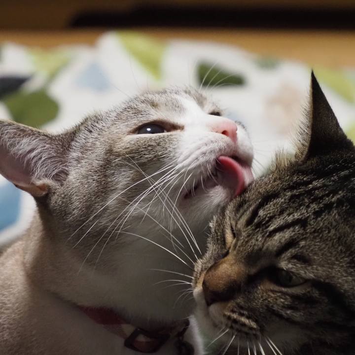 Bda27947 7b2b 4a94 874b c112ecdbad30 1596146930369