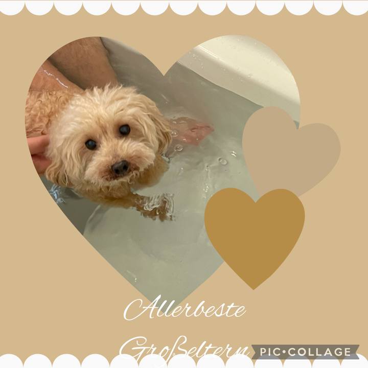 Bda27ac8 f58c 4d80 aec1 6c06a37a222a 1633826704188