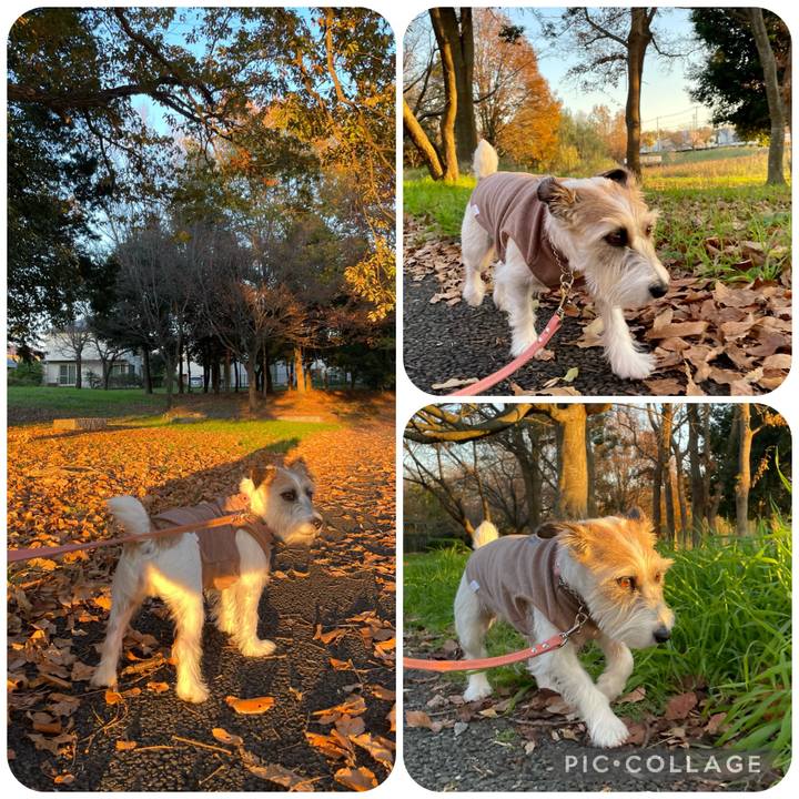 Bda29f37 afa5 4e5a 9780 98d66f38a3d0 1670499052936