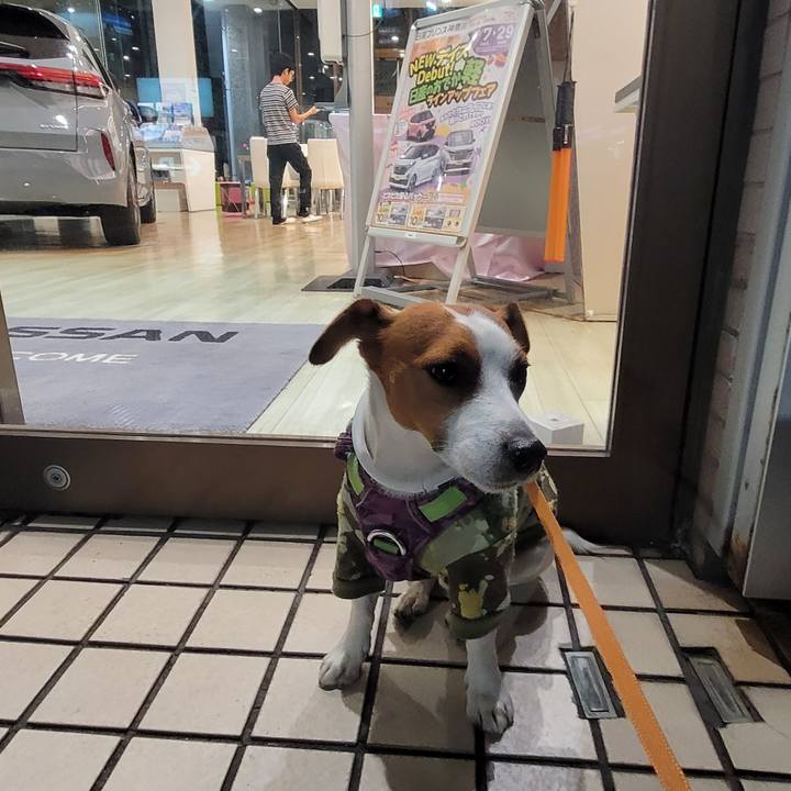 Bda2f729 0ba6 46c8 ba90 80ff640581ff 1698573676492