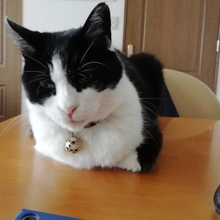 Bda337c1 4f4e 443e 9203 5d73362cd723 1564554262763