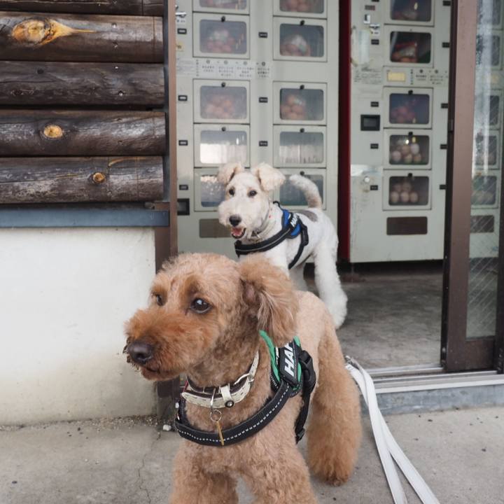 Bda3614e fe4c 4ed2 9c5f 502205797adb 1564281706688