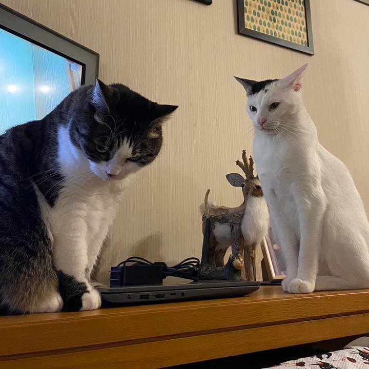 Bda36d49 9229 4bd7 bebf 6e94ca30f586 1698101543913