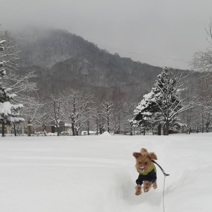 Bda370c6 e882 41d0 9cef c878ddde0c9c 1548770191757