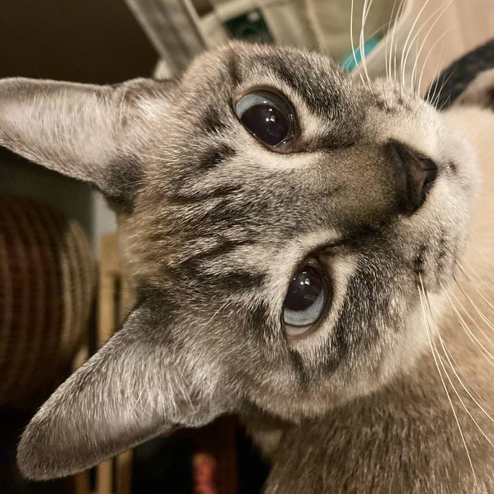 Bda38ceb 9947 4b42 a1e1 4f48bca72639 1674915095722