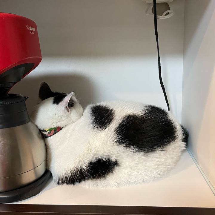 Bda3cd73 907f 4ef2 b22f 428ec6098087 1637493112417