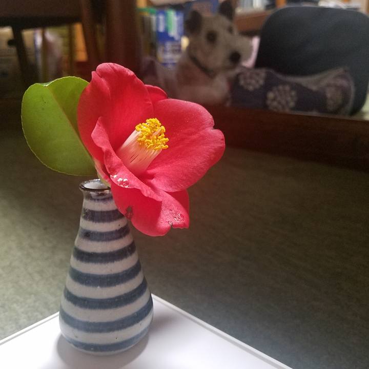 Bda40404 cb3e 4836 a6ba 8ee828729ed8 1585230800314