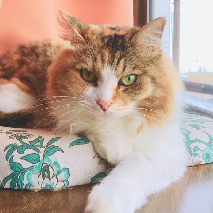 Bda4050a 1072 45f4 8dfc 841010f0db83 1564298955572