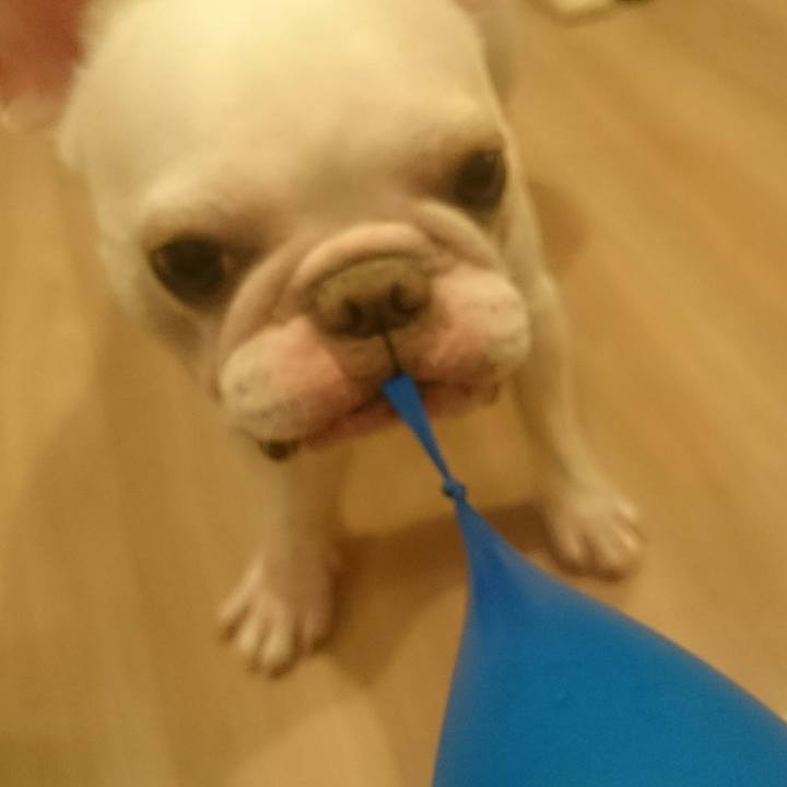 Bda43af8 9117 4fae 8e3e 95d1abece4cf 1534681671825