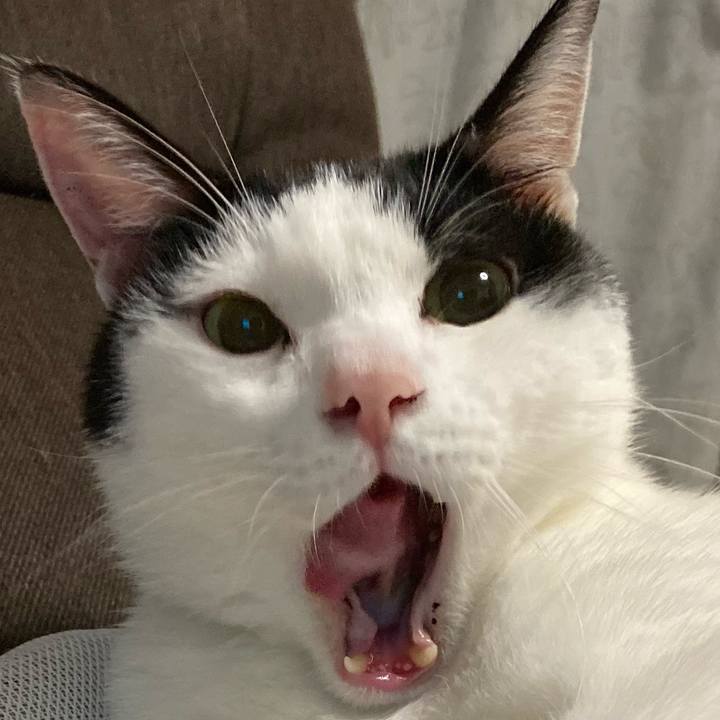 Bda43cbf bb54 4d96 b1bb 902b5f3defe1 1604318976366