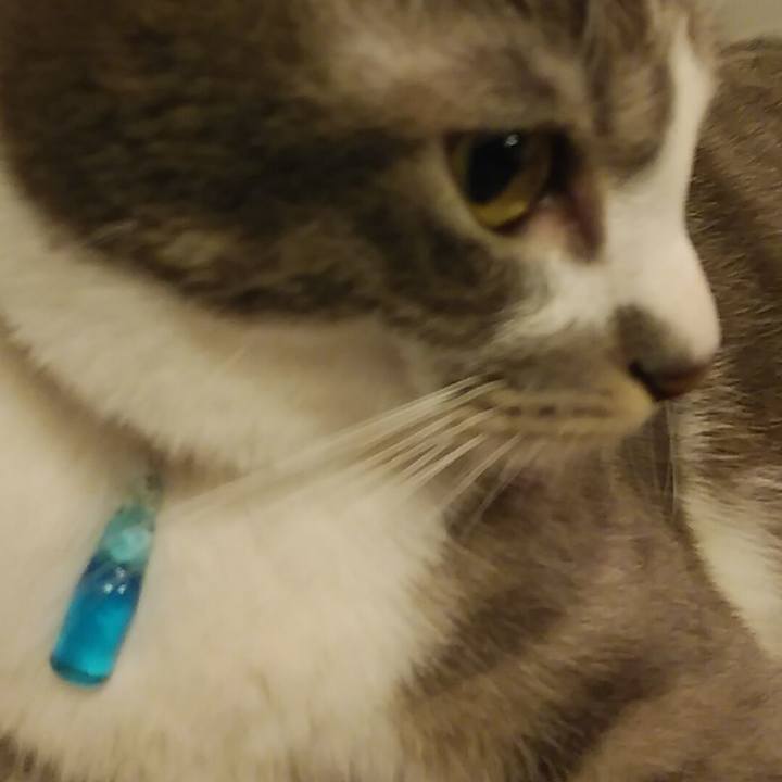 Bda442b8 f905 4382 b423 2c9f8ac126fb 1588422702107