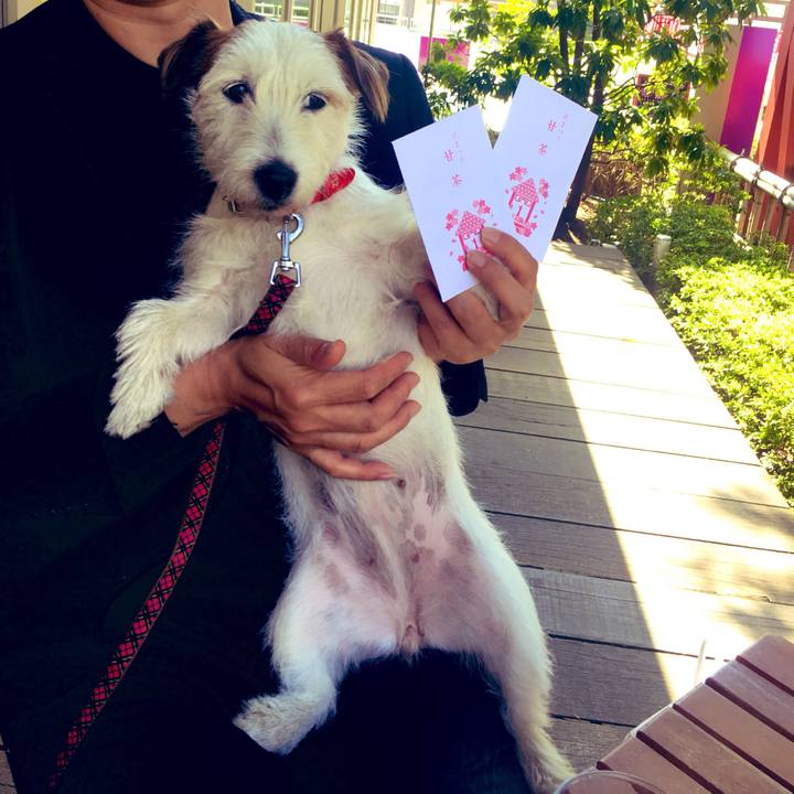 Bda4561a 4089 42fd 83a3 1d61d2bc0379 1554533593786