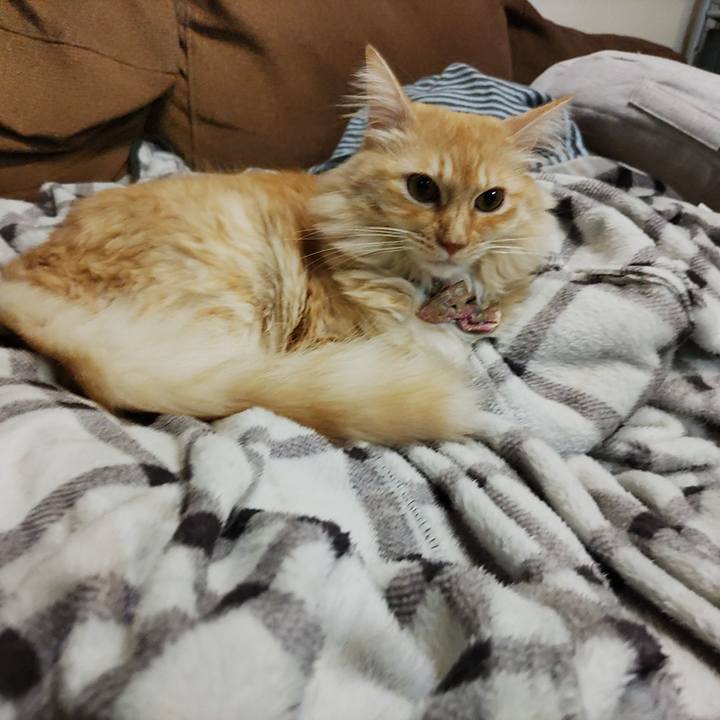 Bda463c9 b2ff 417b 84fd 4c6a9c4673e6 1698158508708